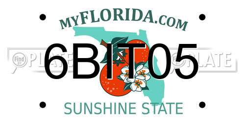 6BIT05 Florida License Plate