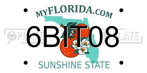 6BIT08 Florida License Plate