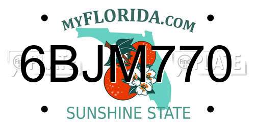 6BJM770 Florida License Plate