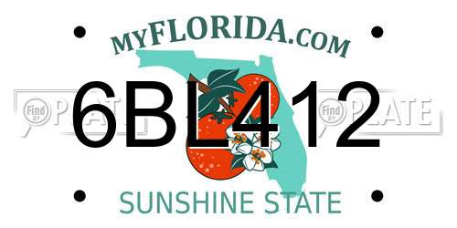 6BL412 Florida License Plate