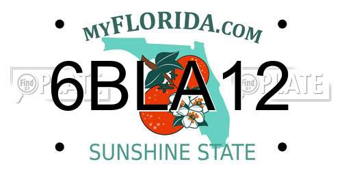 6BLA12 Florida License Plate