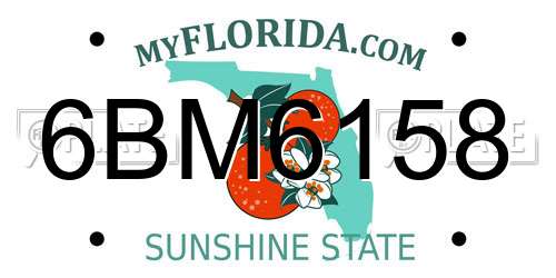 6BM6158 Florida License Plate