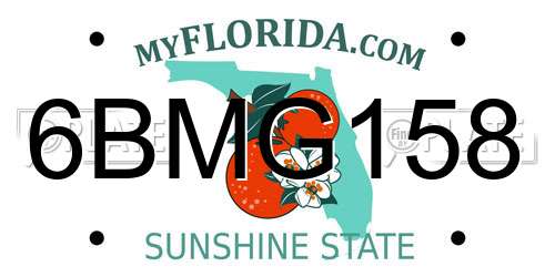 6BMG158 Florida License Plate