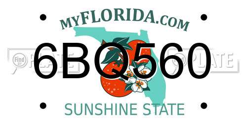 6BQ560 Florida License Plate