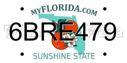 6BRE479 Florida License Plate