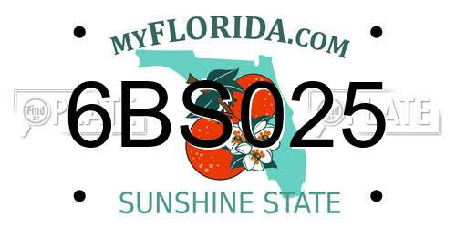 6BS025 Florida License Plate