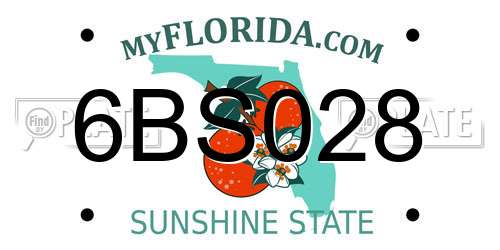 6BS028 Florida License Plate