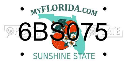 6BS075 Florida License Plate