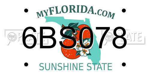 6BS078 Florida License Plate