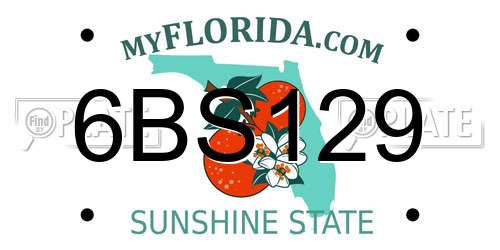 6BS129 Florida License Plate