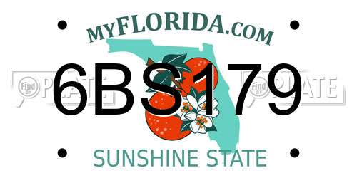 6BS179 Florida License Plate