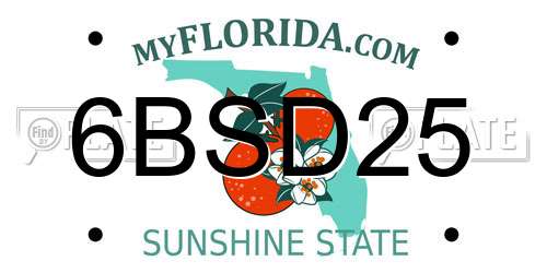 6BSD25 Florida License Plate
