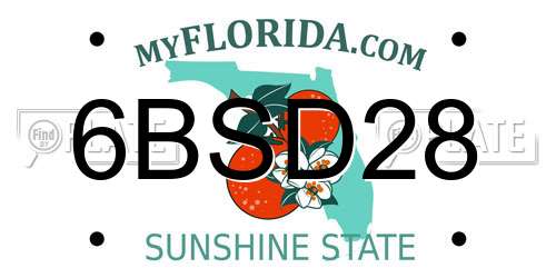 6BSD28 Florida License Plate
