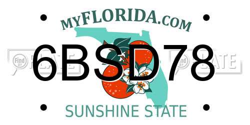 6BSD78 Florida License Plate