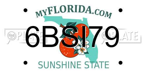6BSI79 Florida License Plate