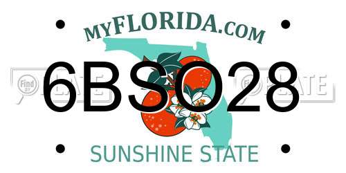 6BSO28 Florida License Plate