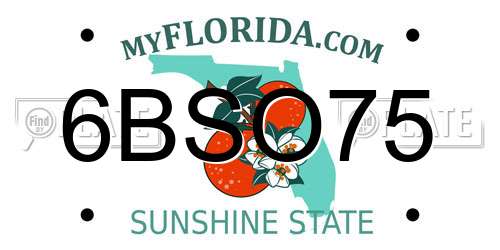 6BSO75 Florida License Plate
