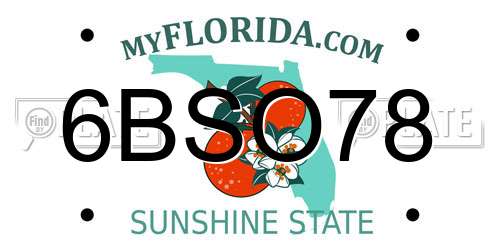 6BSO78 Florida License Plate