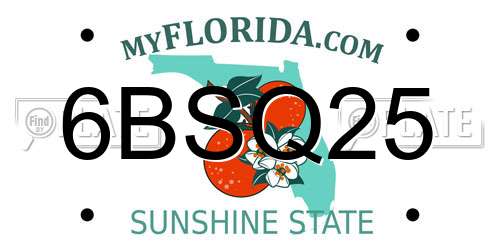 6BSQ25 Florida License Plate