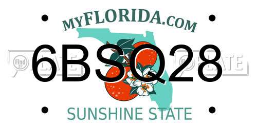 6BSQ28 Florida License Plate