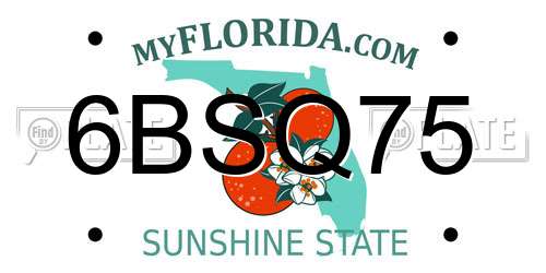6BSQ75 Florida License Plate