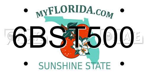 6BST500 Florida License Plate
