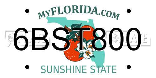 6BST800 Florida License Plate