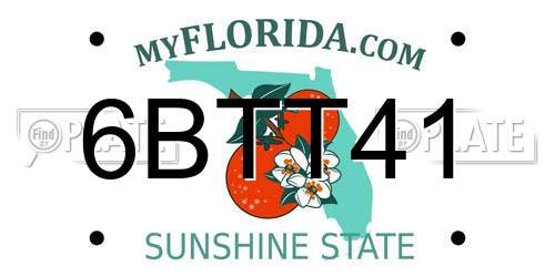 6BTT41 Florida License Plate