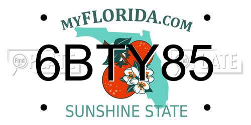 6BTY85 Florida License Plate