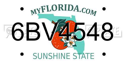 6BV4548 Florida License Plate