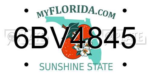 6BV4845 Florida License Plate
