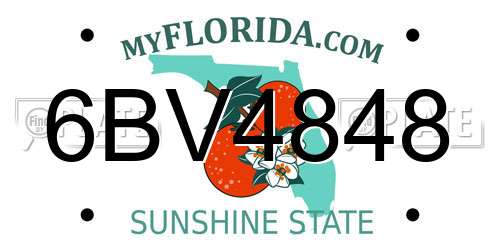6BV4848 Florida License Plate