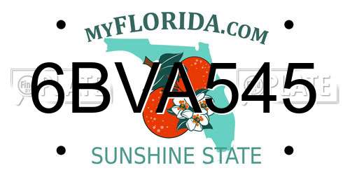 6BVA545 Florida License Plate
