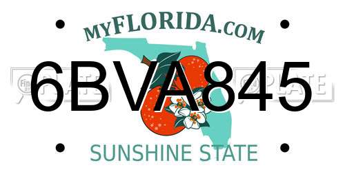 6BVA845 Florida License Plate