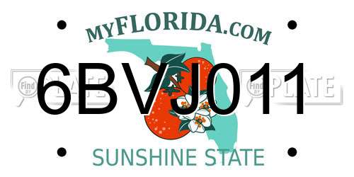 6BVJ011 Florida License Plate