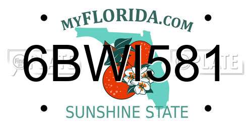 6BWI581 Florida License Plate