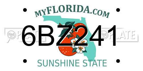 6BZ241 Florida License Plate