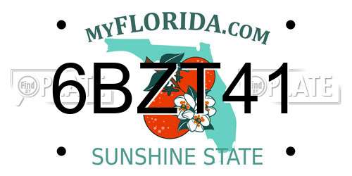 6BZT41 Florida License Plate