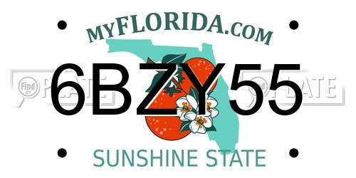 6BZY55 Florida License Plate