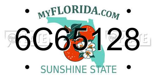 6C65128 Florida License Plate