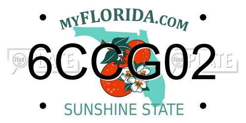 6CCG02 Florida License Plate