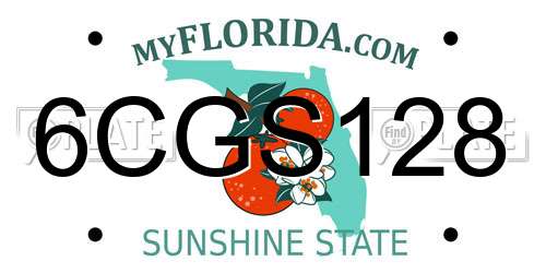 6CGS128 Florida License Plate