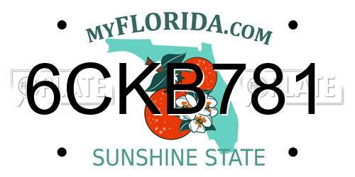 6CKB781 Florida License Plate