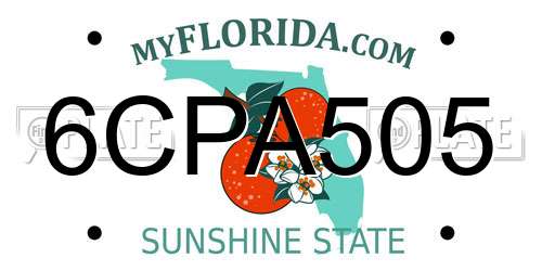 6CPA505 Florida License Plate