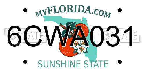 6CWA031 Florida License Plate