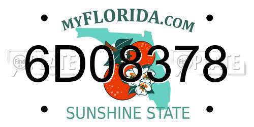 6D08378 Florida License Plate