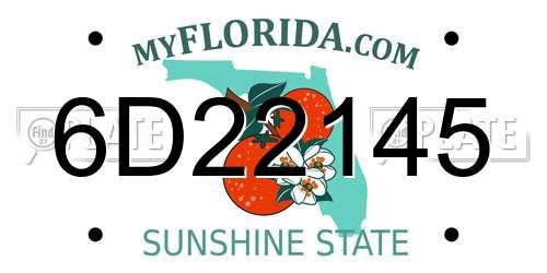 6D22145 Florida License Plate