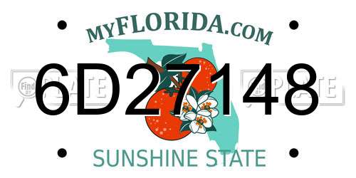 6D27148 Florida License Plate