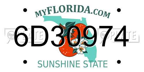 6D30974 Florida License Plate