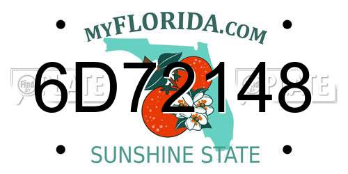 6D72148 Florida License Plate